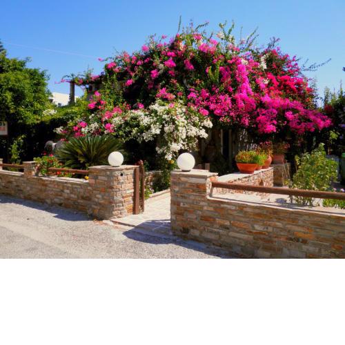 Dimitra Studios