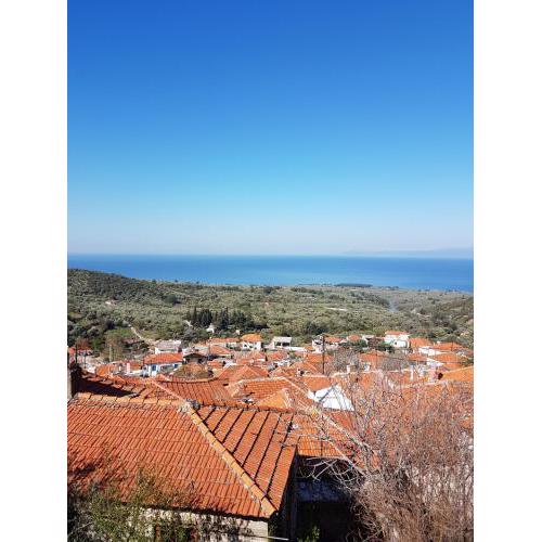 Dimitra's Garden Villa