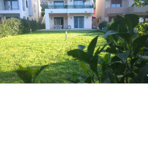 Dimitra's House