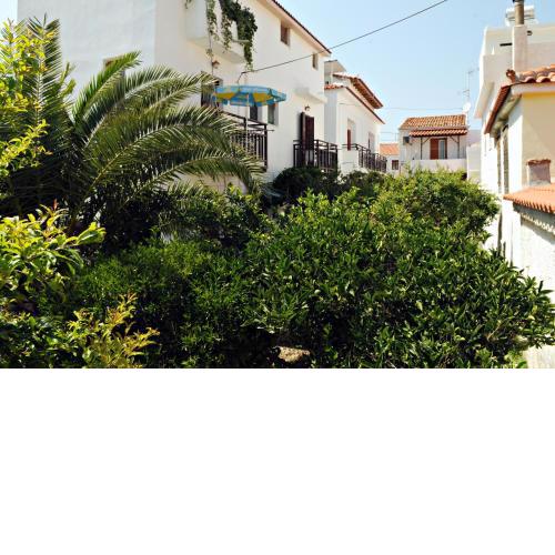 Dimitris studios