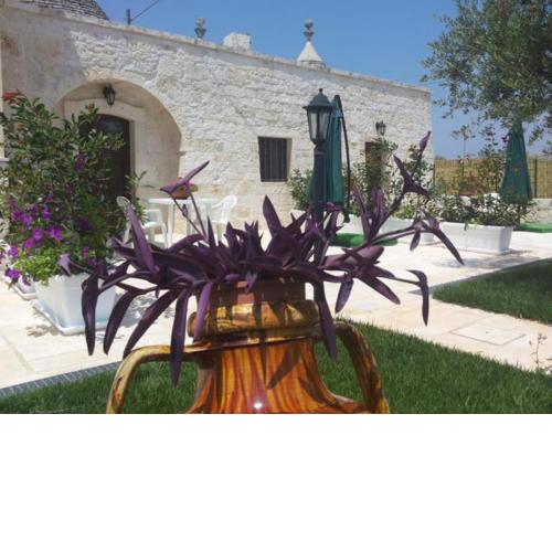 Dimora Matarrese B&B Trulli