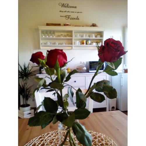 Dimora San Lazzaro B&B