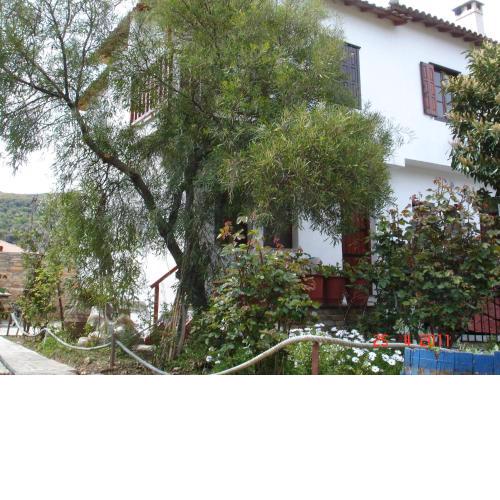 DINA STUDIo