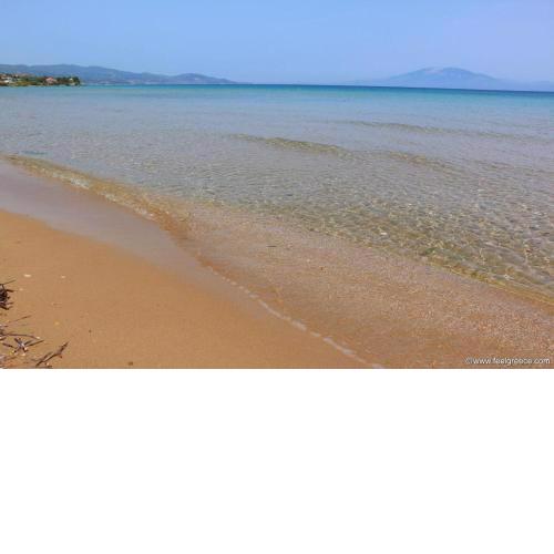 Dionysia Suites