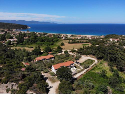 Dionysus Apartments & Suites