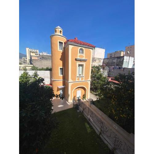DiVi Palace