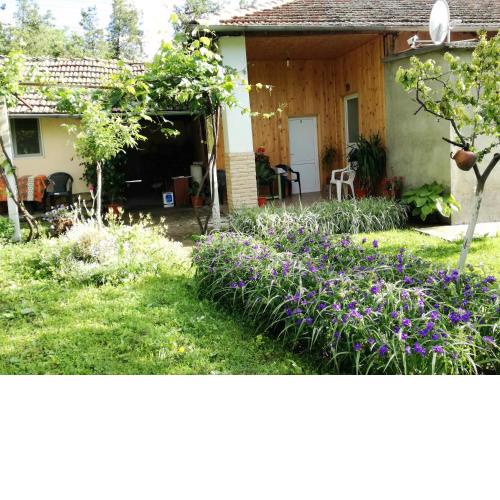 Divna Guest House