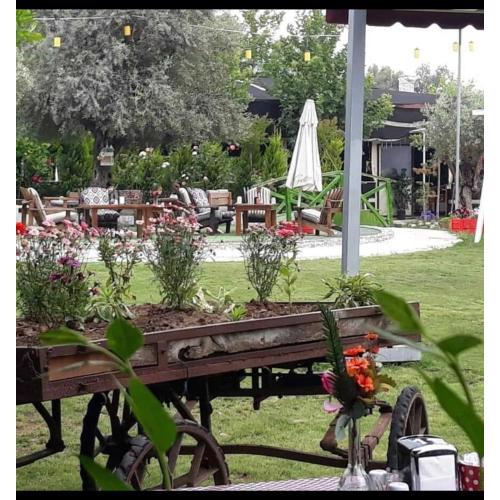 Doğa bungalov