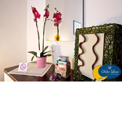 Dolce Lecce B&B