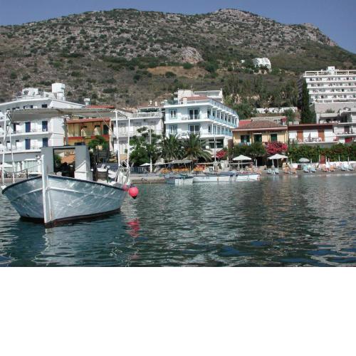 Dolfin