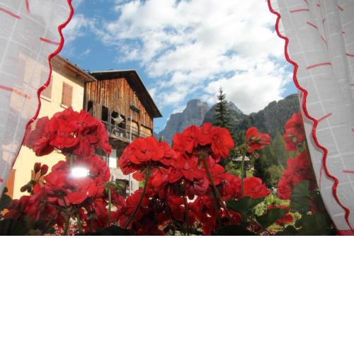 Dolomites Holidays