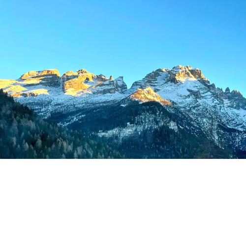 Dolomiti House