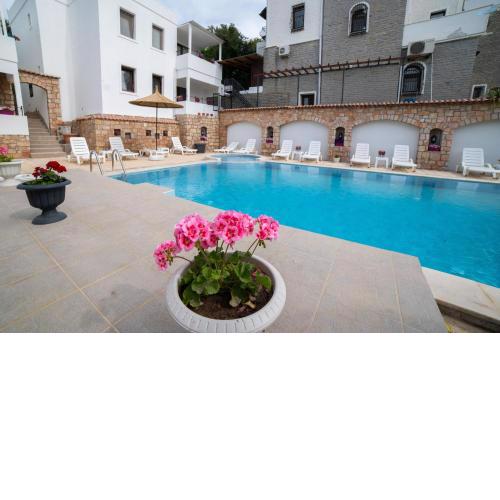 Dolphin Residences Coleus 3