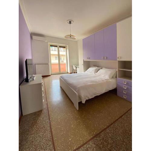 Domenico Vatican House