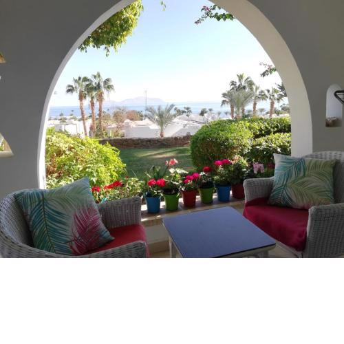 Domina coral bay