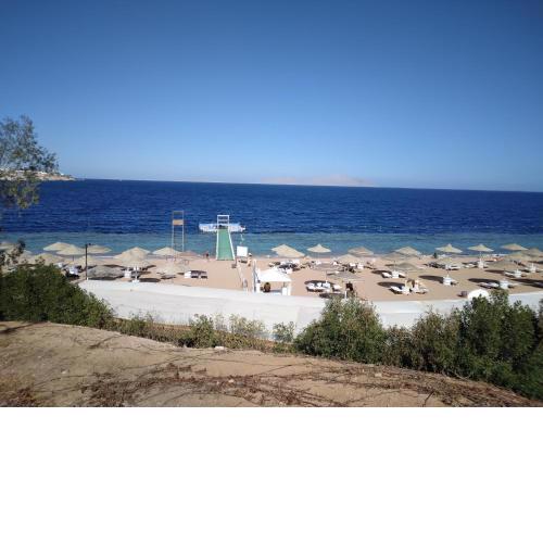 Domina Coral Bay