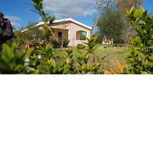 Dommos - Villa Solidea