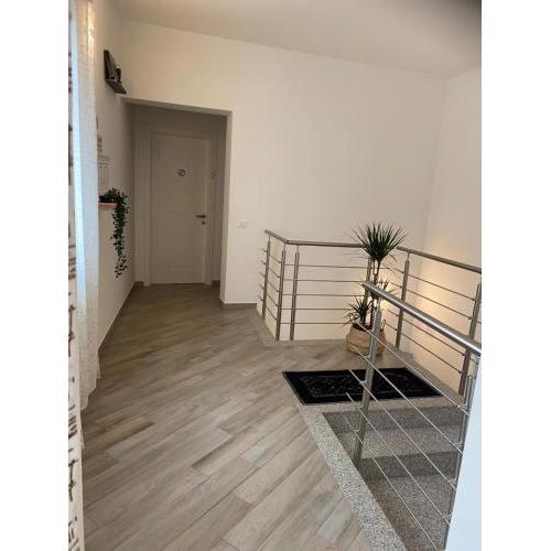 DOMOBLU Camere In Centro
