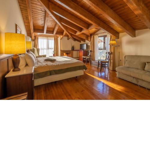 Domotel Anemolia Mountain Resort