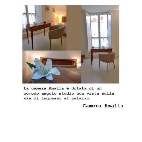 Domus Arsia