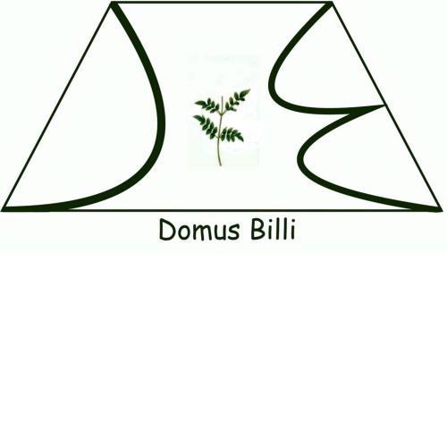 Domus Billi