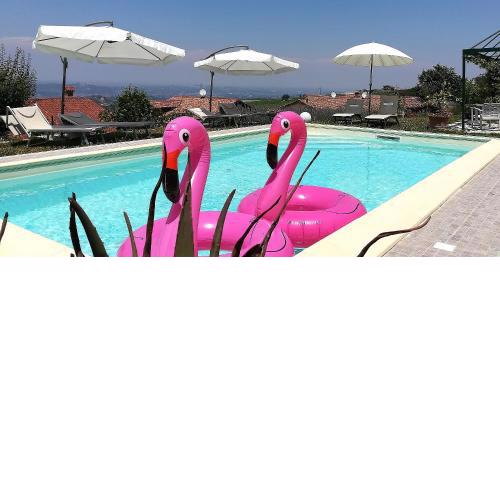 Domus Langhe B&B
