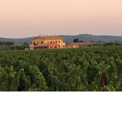 Domus Tuscany