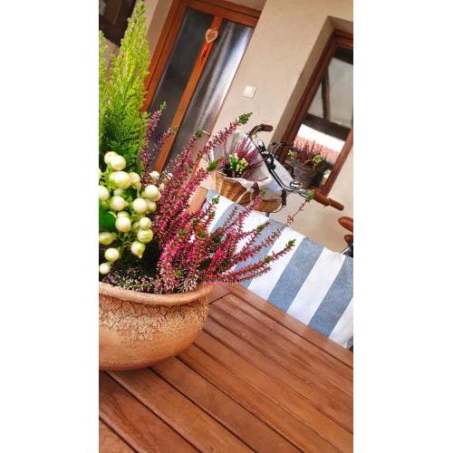Dora Holiday House & Apartments
