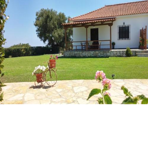 Dora Property