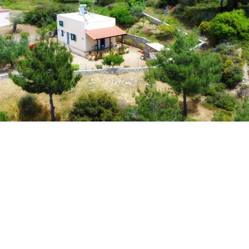 Dora's House
