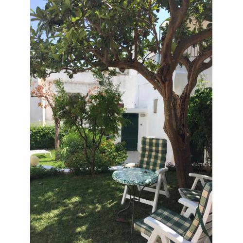 DORIANA GARDEN HOUSE