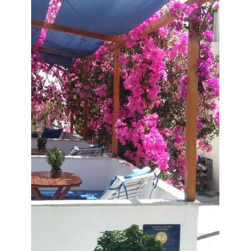 Doron Hotel Delfini