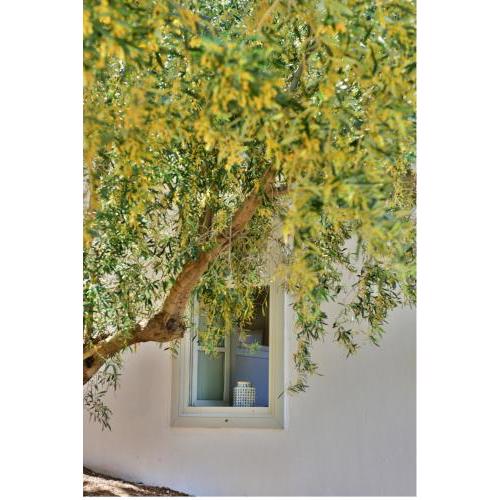 Douskos Beach House