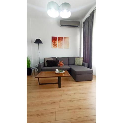 DOWN TOWN Luxurious Apartments (3)