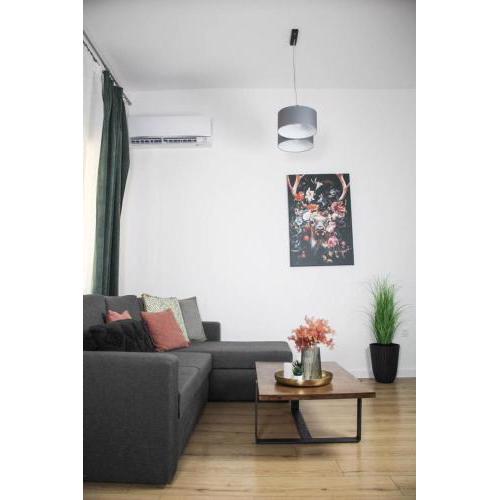 DOWN TOWN Luxurious Apartments (4)