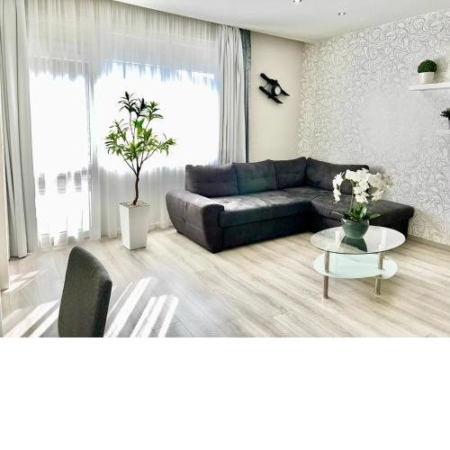 Downtown Dream Apartmans