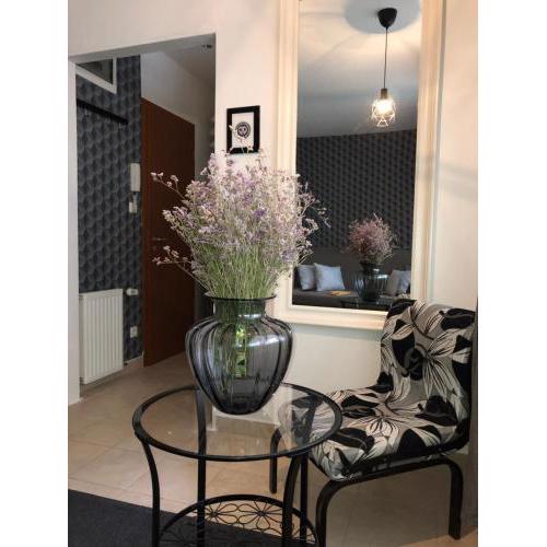 Downtown Luxury Apartments whit Garage opcional