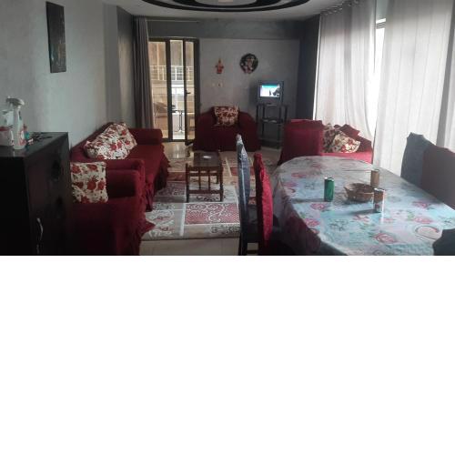 Dream apartment in Alexandria