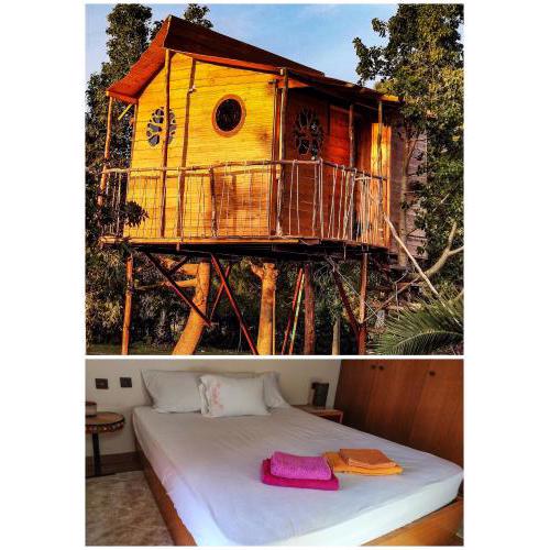 Dream catcher tree house