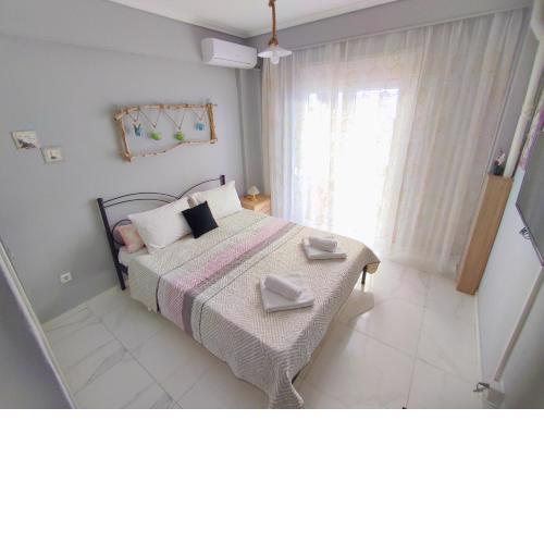 DriftWood Center Apartment