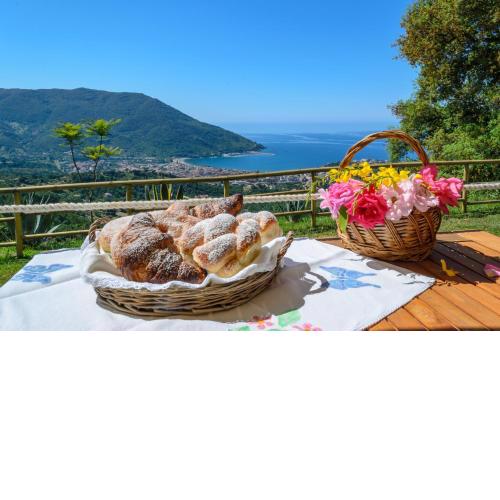Driùs edodè - b&b affittacamere
