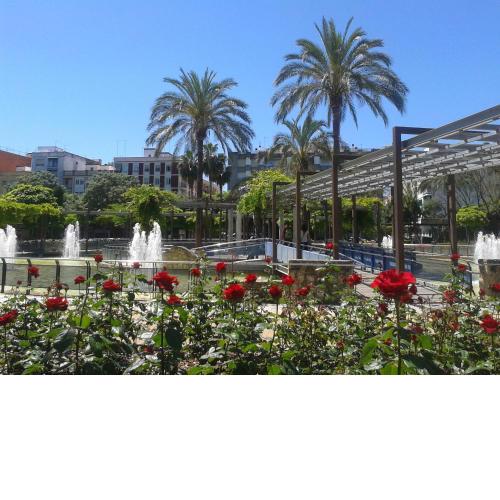 DS Jardines de la Victoria