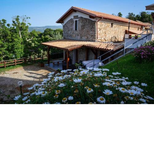 Due Passi B&B