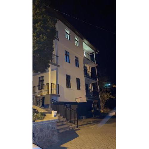 DUVARBAHÇE APART