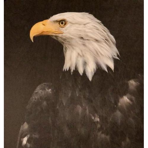 Eagle's Nest