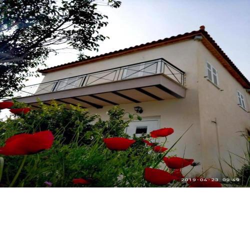 Easy peasy Holiday Home in Kalloni with Balcony