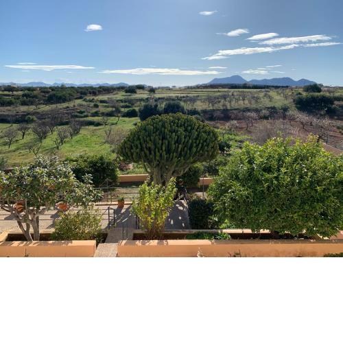 Eco espacio Camaleón Verde