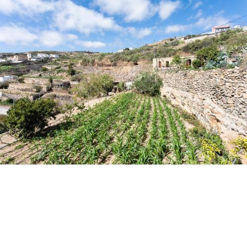 Eco Holidays House Raíces