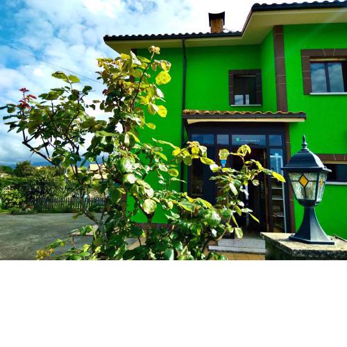 Eco-Hostel La Casa Verde