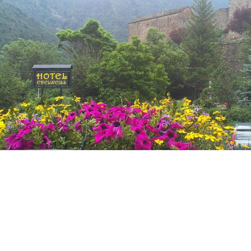 Edelweiss Hotel